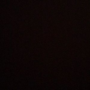 Meet your Posher, Riley